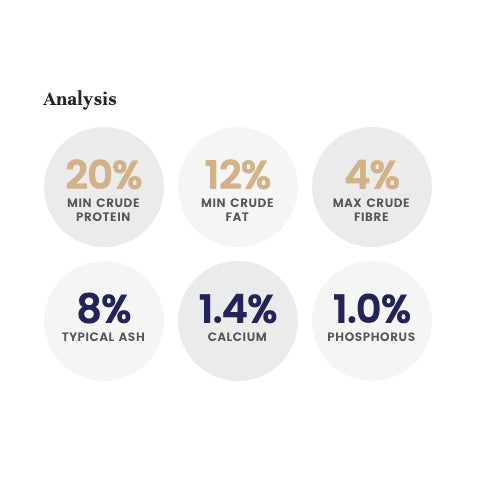LifeWise BIOTIC Joint Adult Dog Food