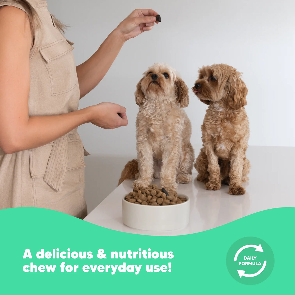 Lovebites FlexJoint Chews for Dogs