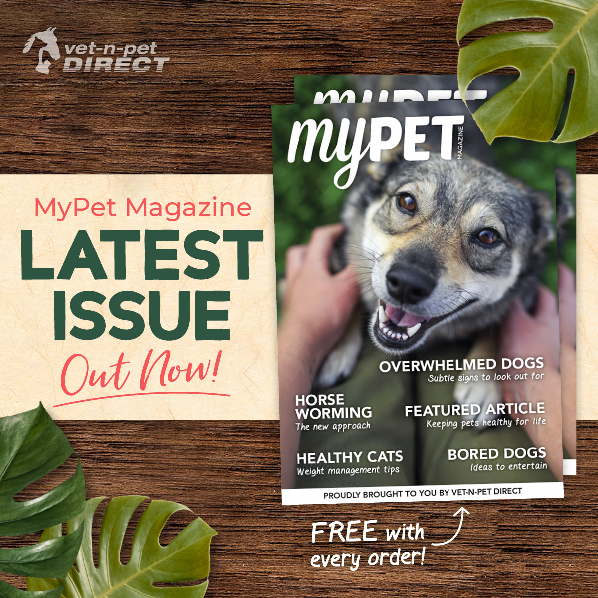 myPET Magazine Latest Issue