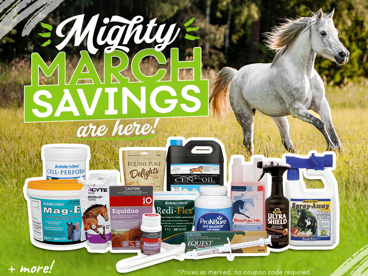 Specials for your horse  ON SALE NOW