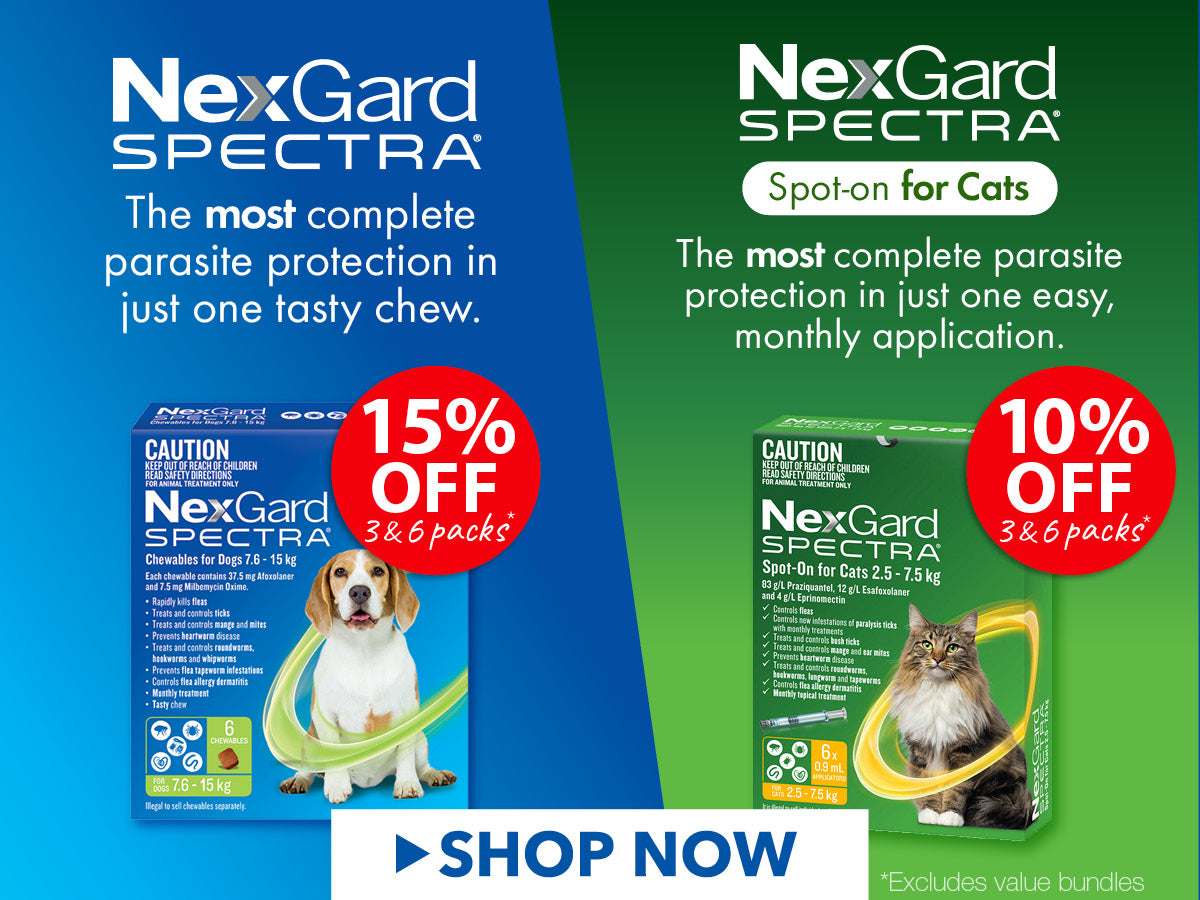 NexGard Spectra For Dogs and Cats ON SALE NOW