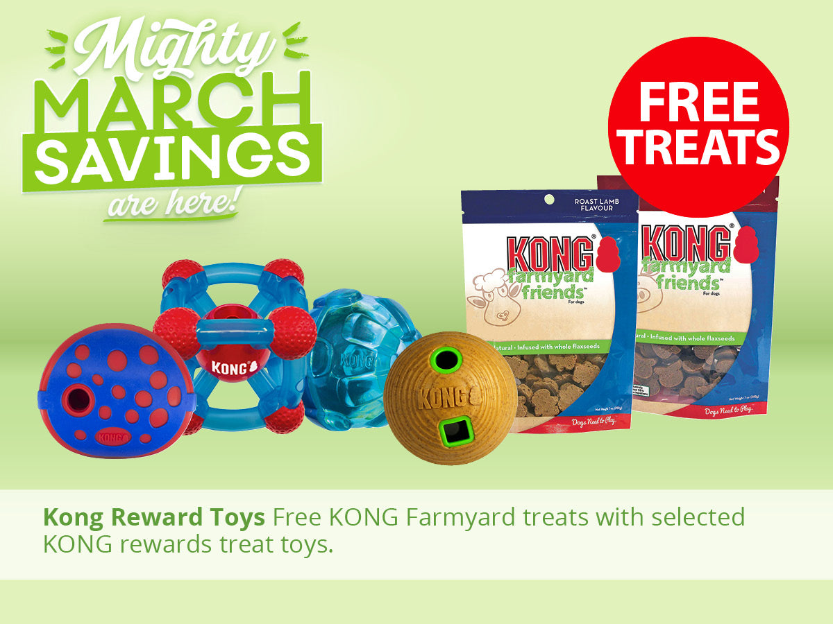 KONG Rewards Toys FREE TREATS