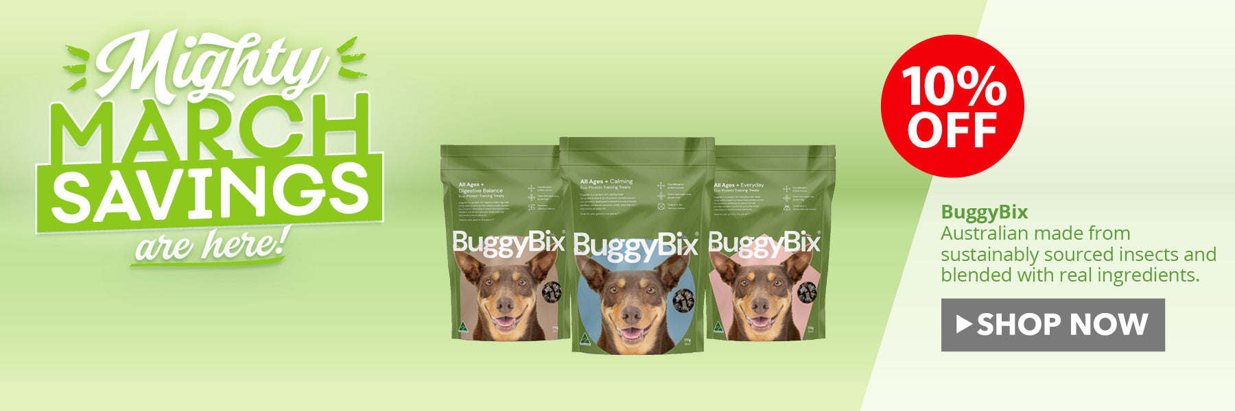 Buggy Bix Insect Protein Dog Food ON SALE NOW