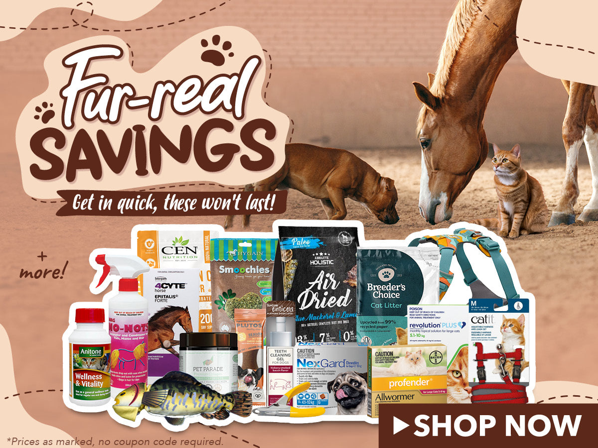 May Specials For Your Pet