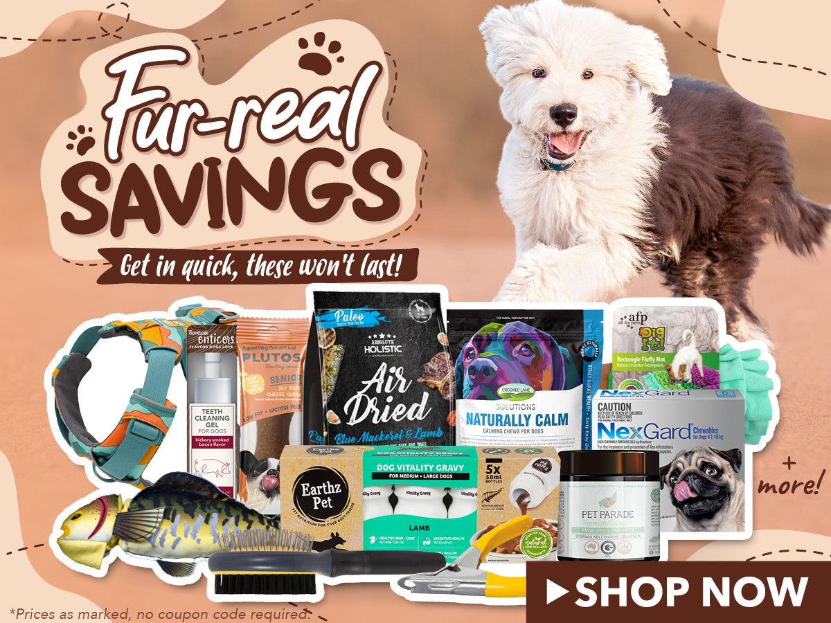 March Savings for your dog