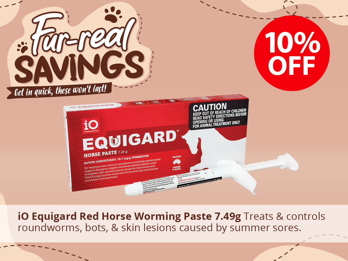 iO Equigard Red Horse Worming Paste 7.49g ON SALE NOW