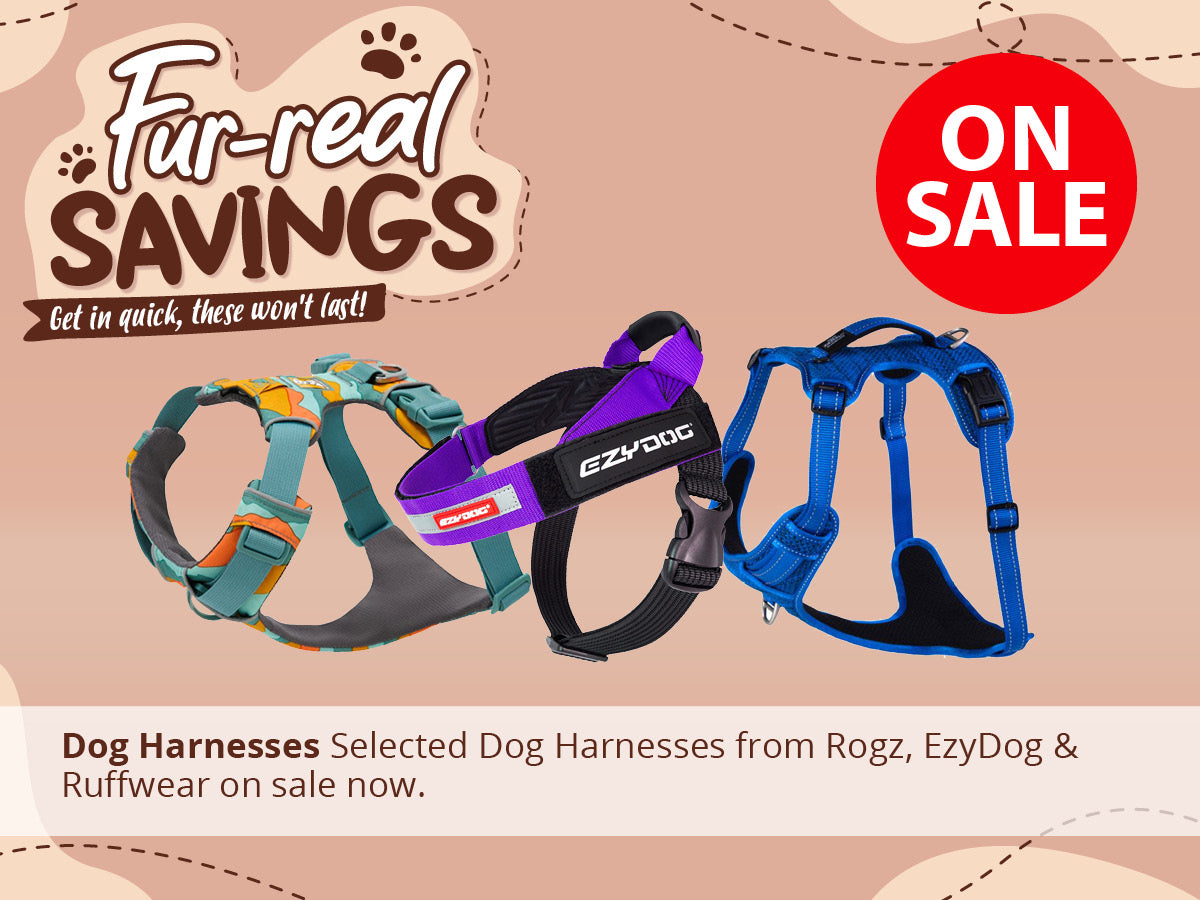 Dog Harnesses ON SALE NOW