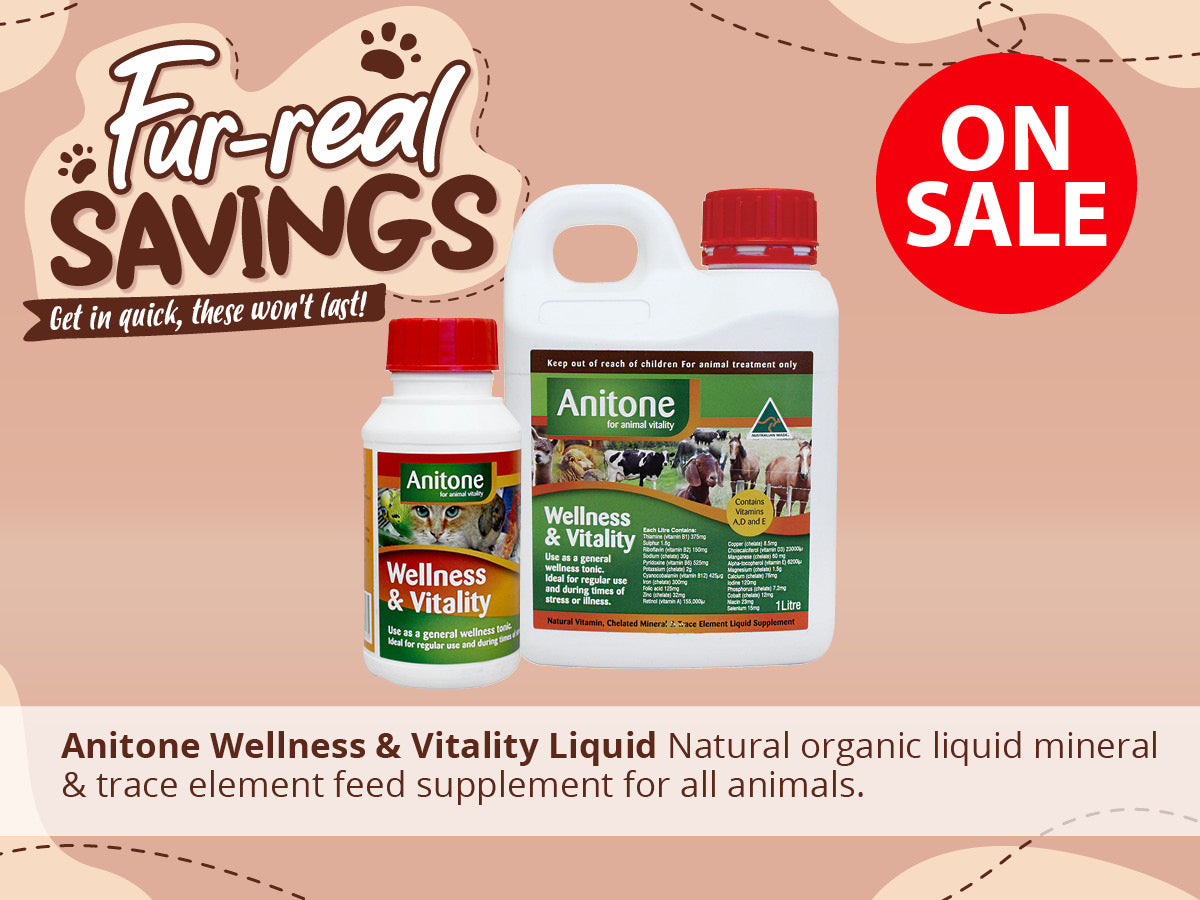 Anitone Wellness for all animals ON SALE NOW