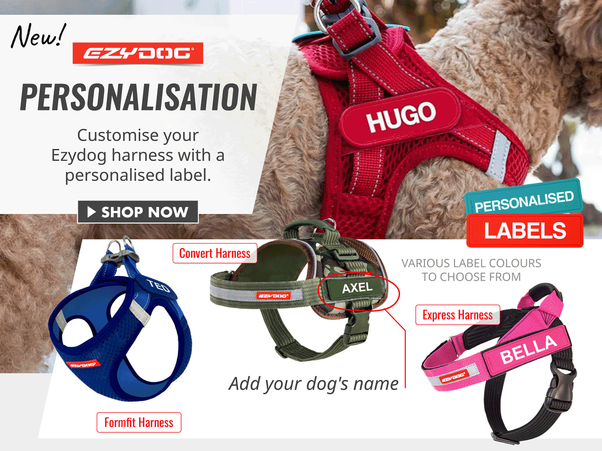 EzyDog Dog Collars, Harnesses & Accessories
