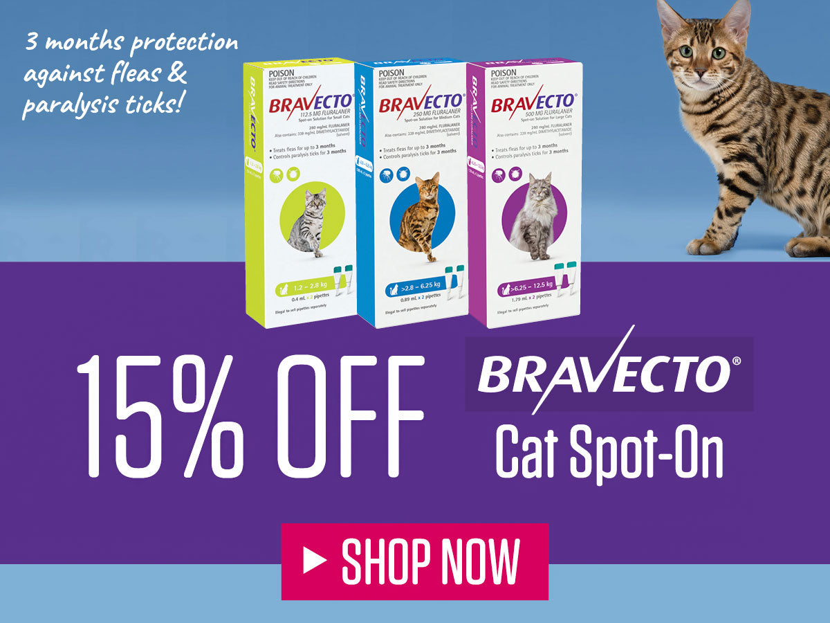 Bravecto Spot On For Cats ON SALE NOW