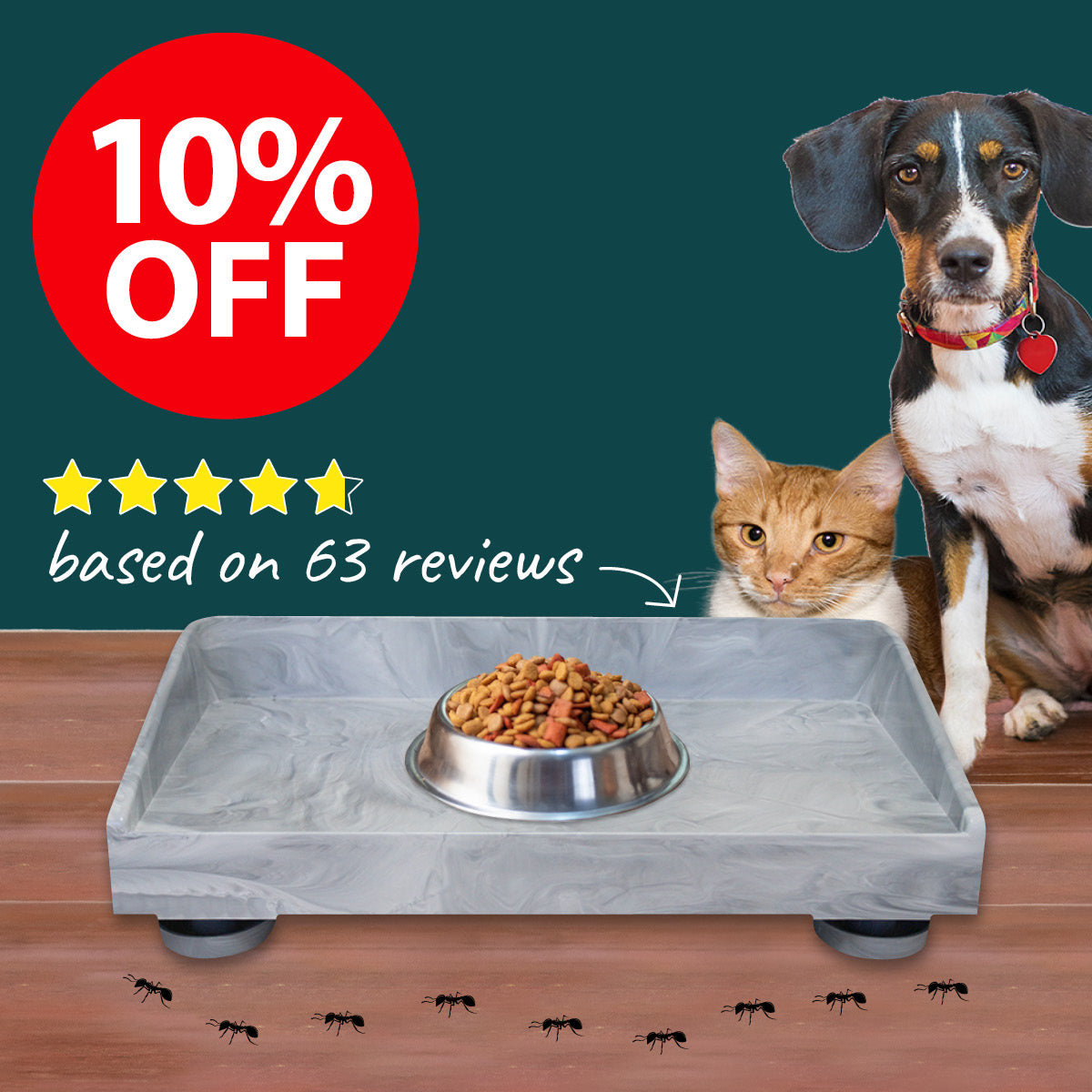 Ants Off - Elevated Pet Feeding Table ON SALE NOW