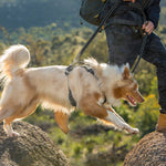 Rogz Utility Multi-Purpose Lead
