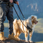 Rogz Utility Multi-Purpose Lead