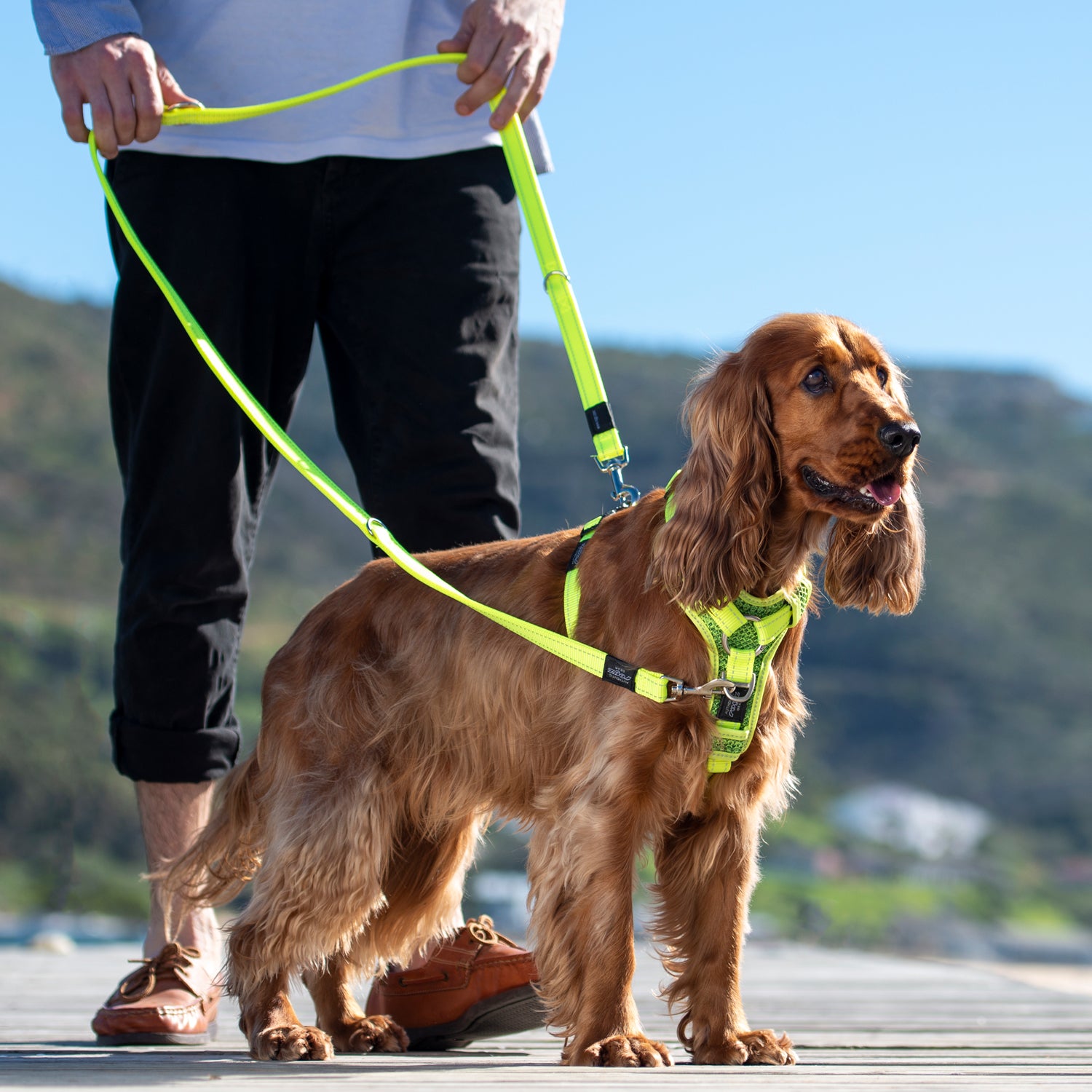 Rogz Utility Multi-Purpose Lead