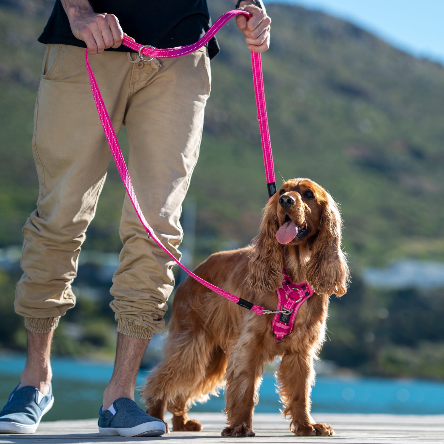 Rogz Utility Multi-Purpose Lead