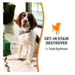 Nature's Miracle Dog Set-In Stain Destroyer
