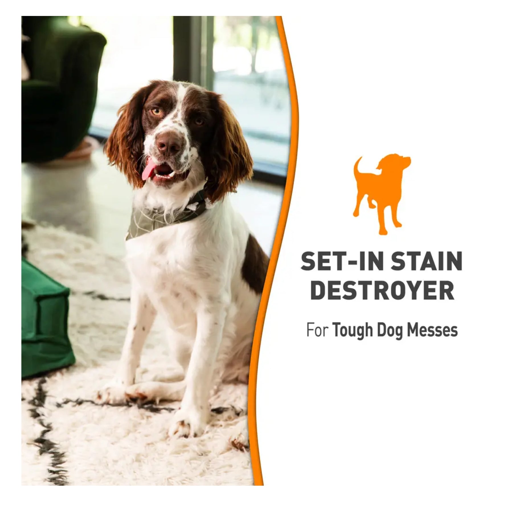 Nature's Miracle Dog Set-In Stain Destroyer