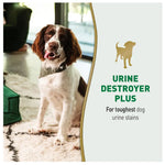 Nature's Miracle Urine Destroyer Plus for Dogs