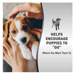 Nature's Miracle Advanced Platinum Puppy Potty Training Spray