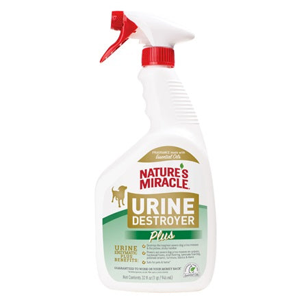 Dog Stain & Odour Removal