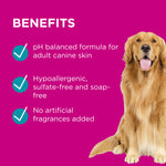 PAW 2 in 1 Conditioner & Shampoo for Normal Skin