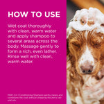PAW 2 in 1 Conditioner & Shampoo for Normal Skin
