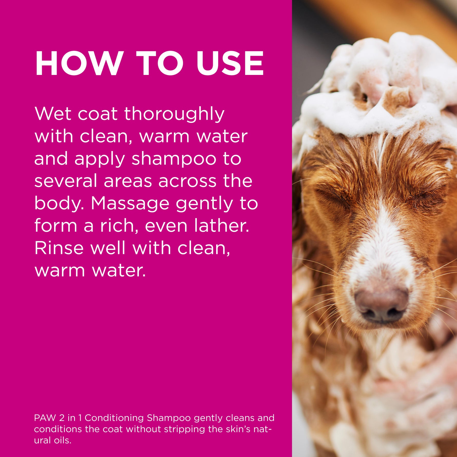 PAW 2 in 1 Conditioner & Shampoo for Normal Skin