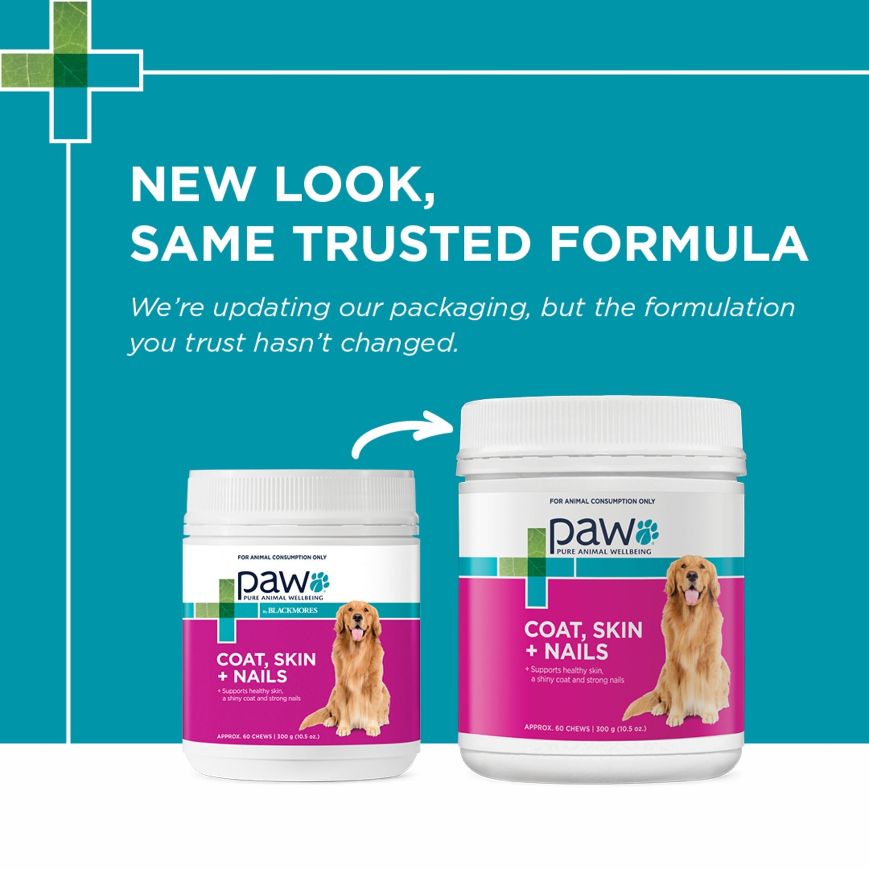 PAW Coat, Skin & Nails Multivitamin Chews 300g