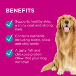 PAW Coat, Skin & Nails Multivitamin Chews 300g