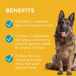 PAW Complete Calm Chews for Dogs 300g