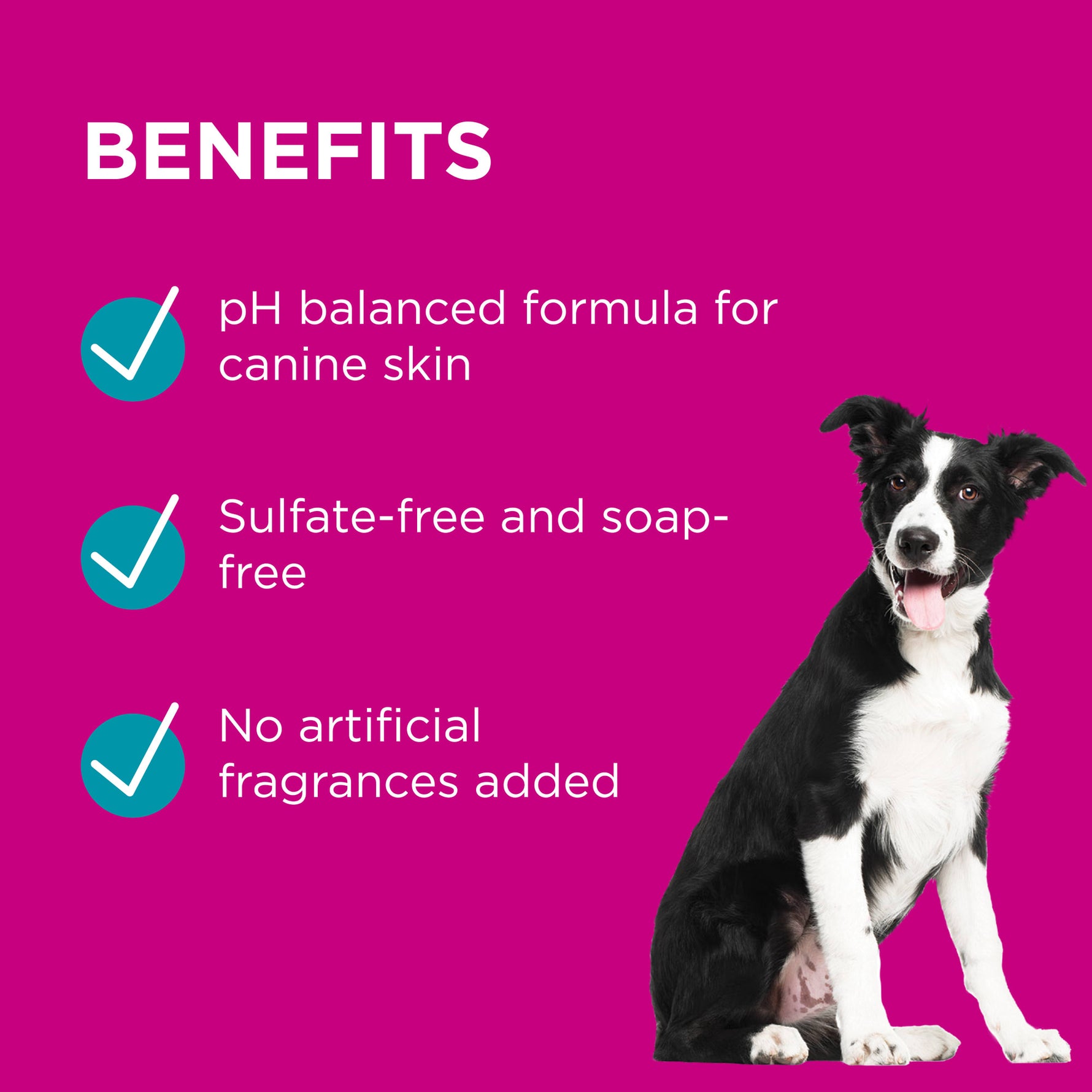 PAW Conditioning & Grooming Spray for Dogs 200mL