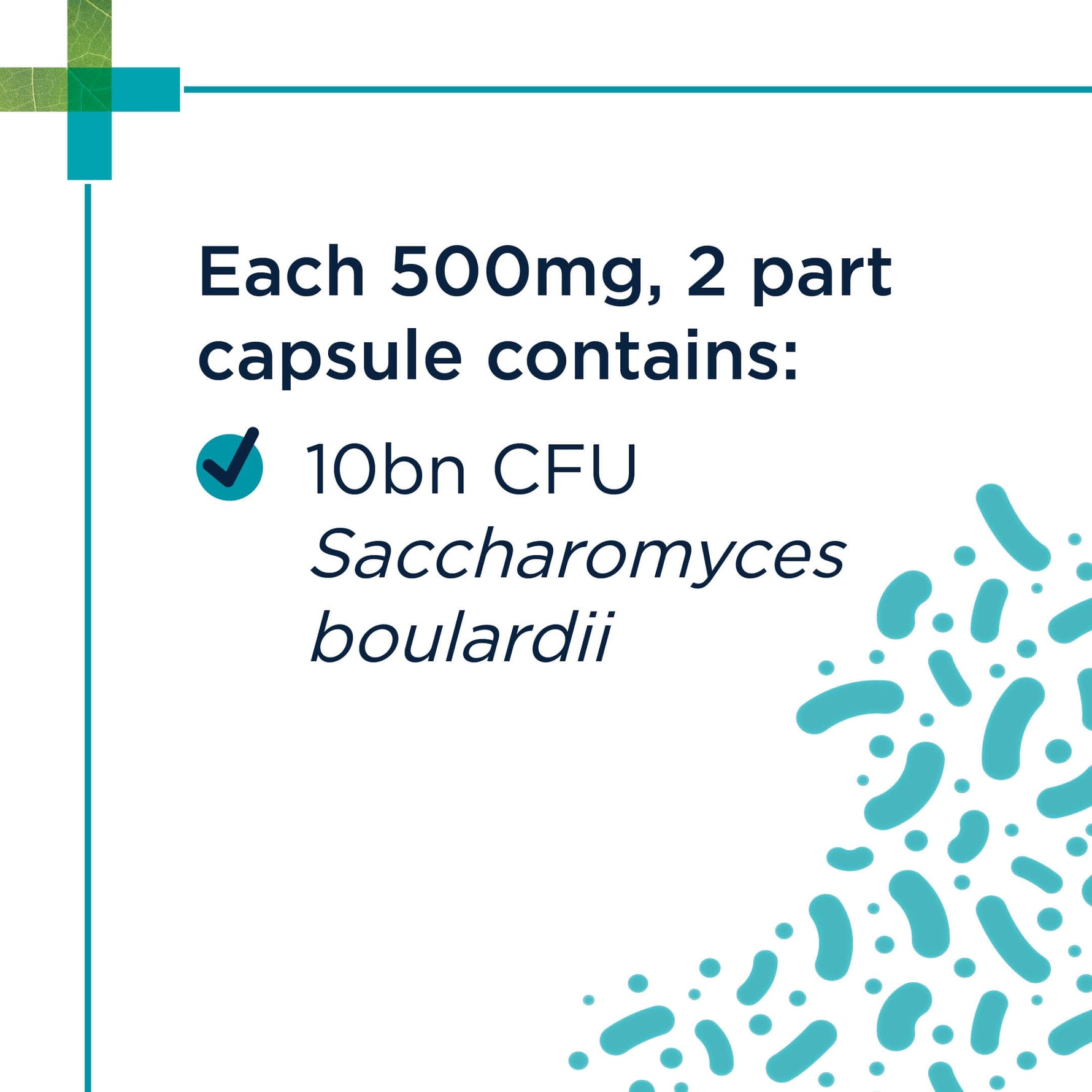 PAW Digesticare SB Veterinary Probiotic 30's