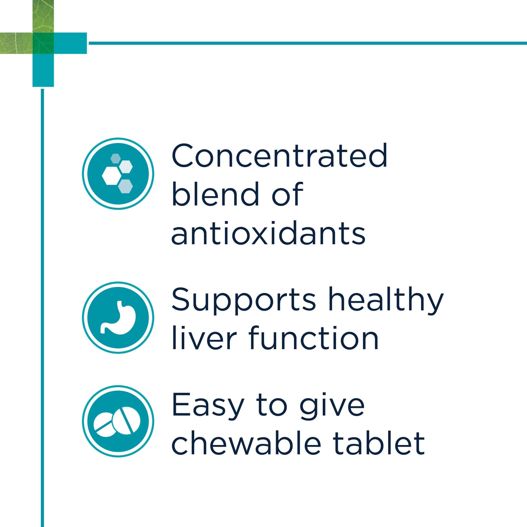 PAW HepatoAdvanced Liver Support