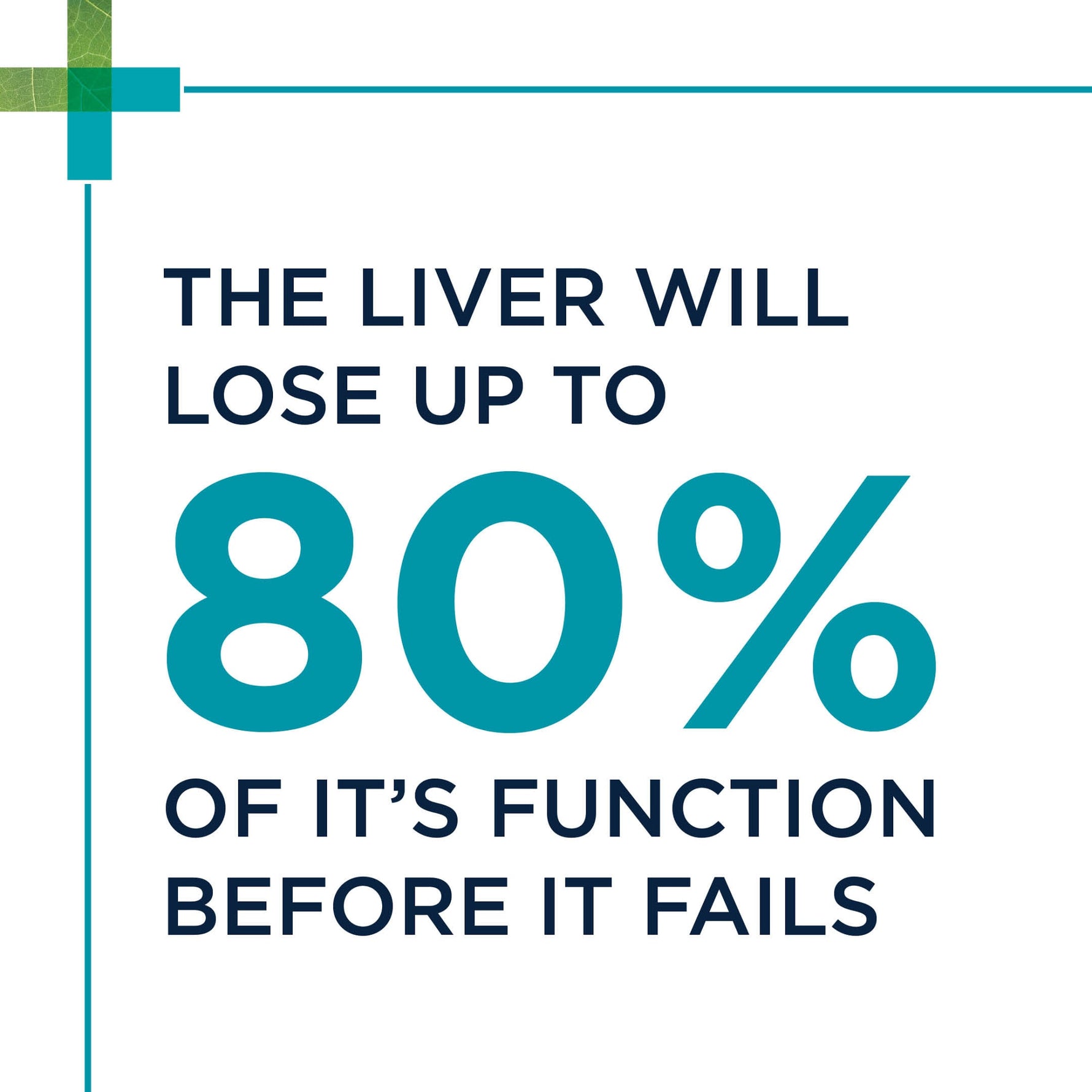PAW HepatoAdvanced Liver Support