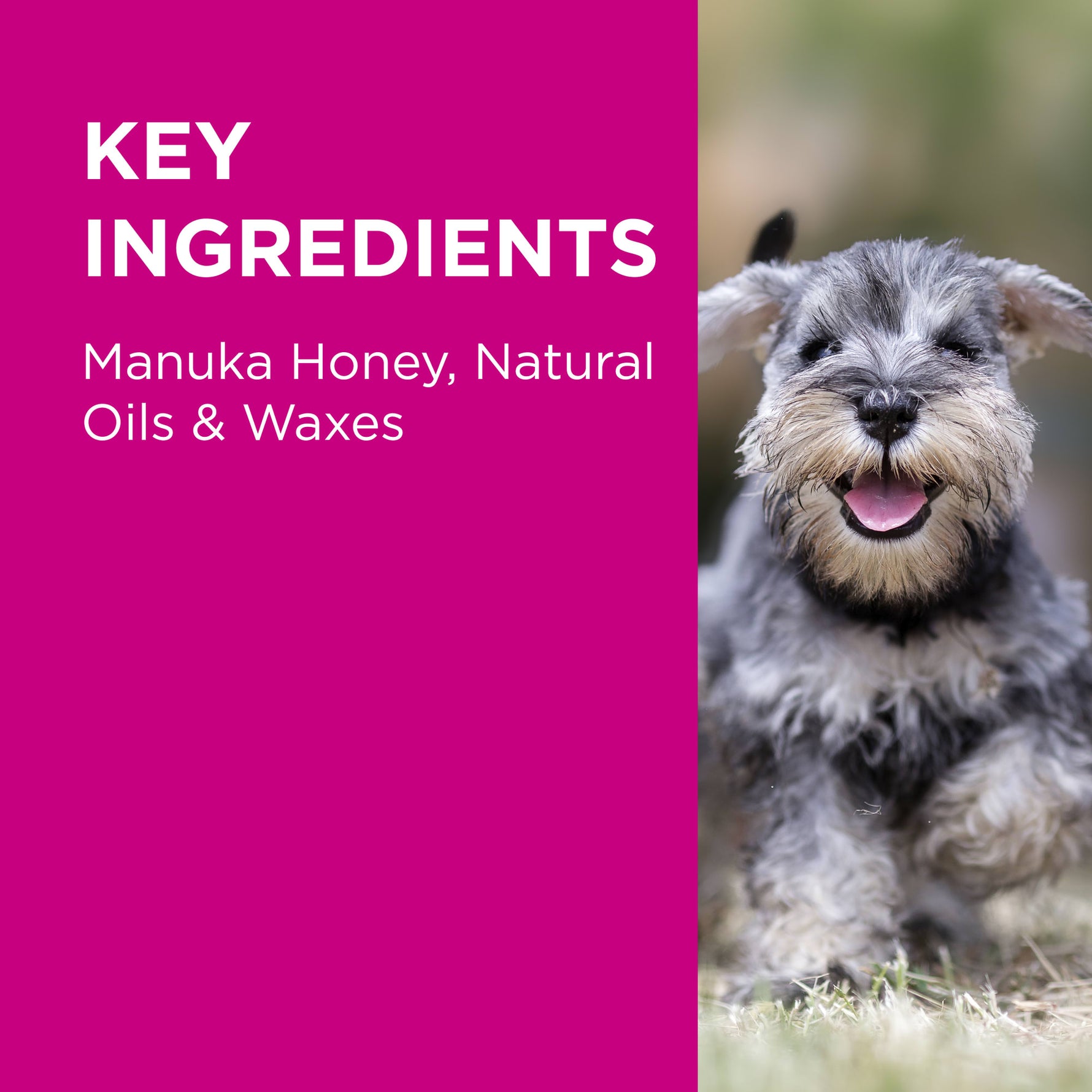 PAW Manuka Wound Gel
