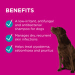 PAW MediDerm Gentle Medicated Shampoo for Dogs