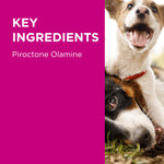 PAW MediDerm Gentle Medicated Shampoo for Dogs