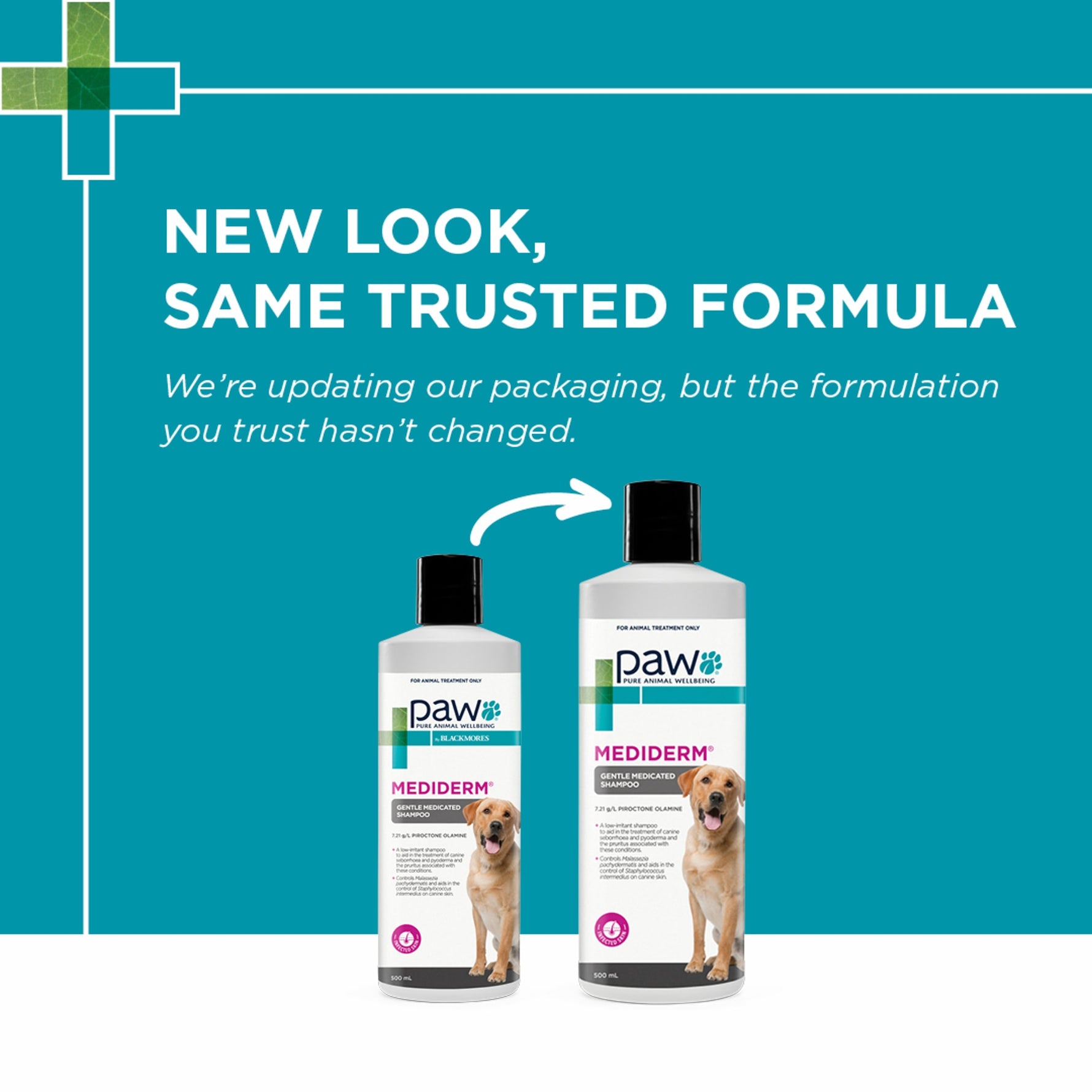 PAW MediDerm Gentle Medicated Shampoo for Dogs