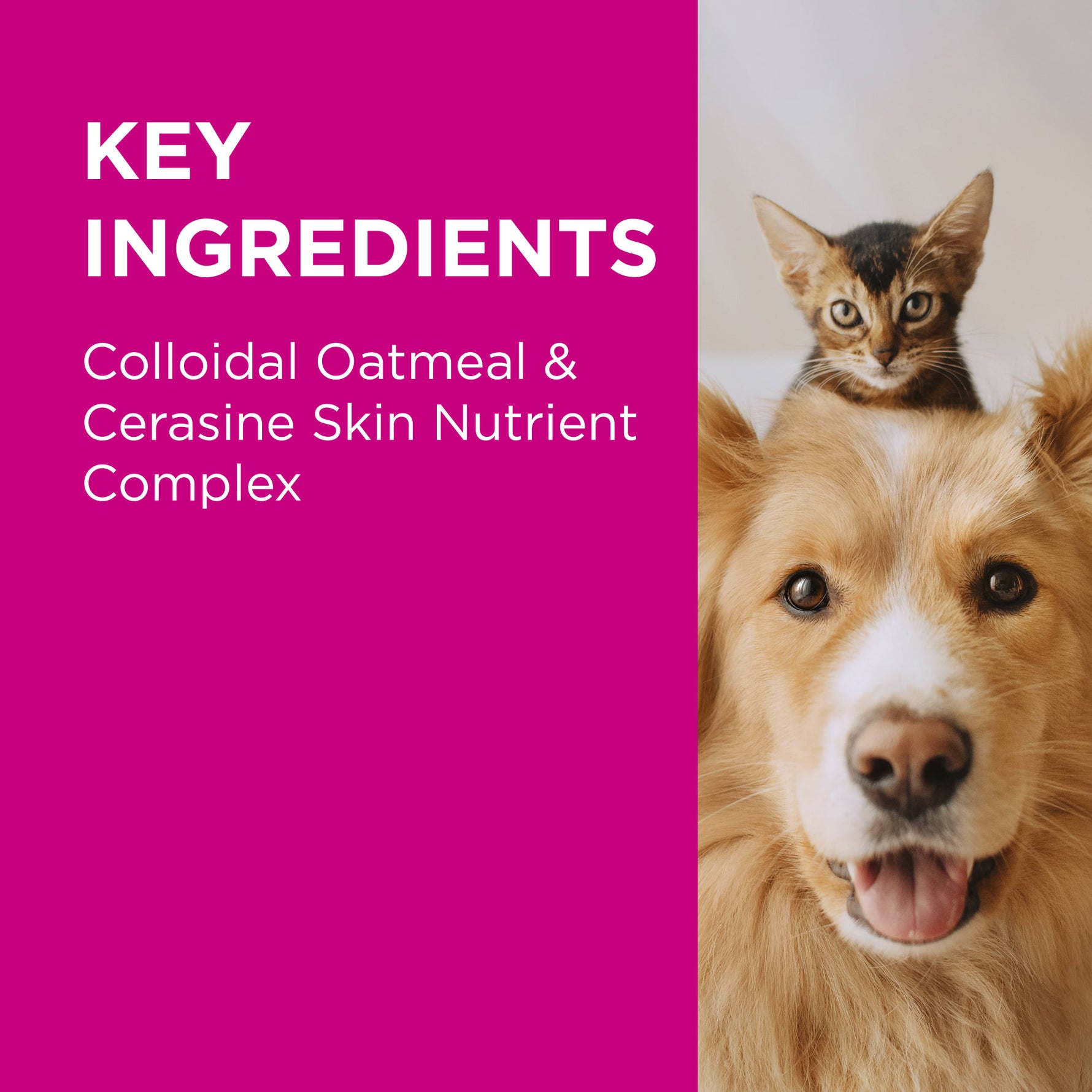 PAW NutriDerm Replenishing Conditioner for Dogs & Cats