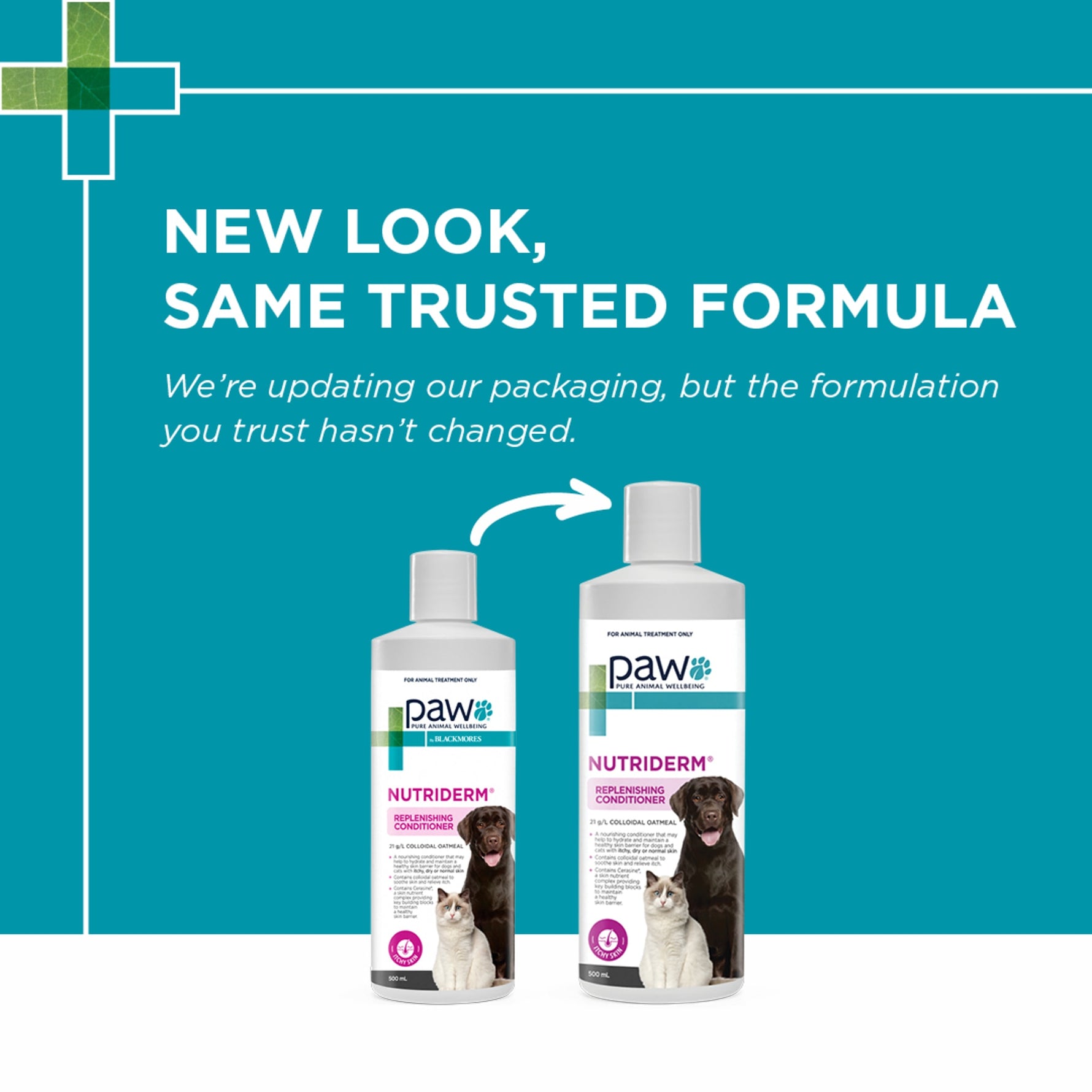 PAW NutriDerm Replenishing Conditioner for Dogs & Cats