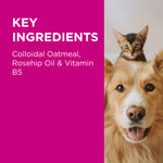 PAW NutriDerm Replenishing Shampoo for Dogs & Cats