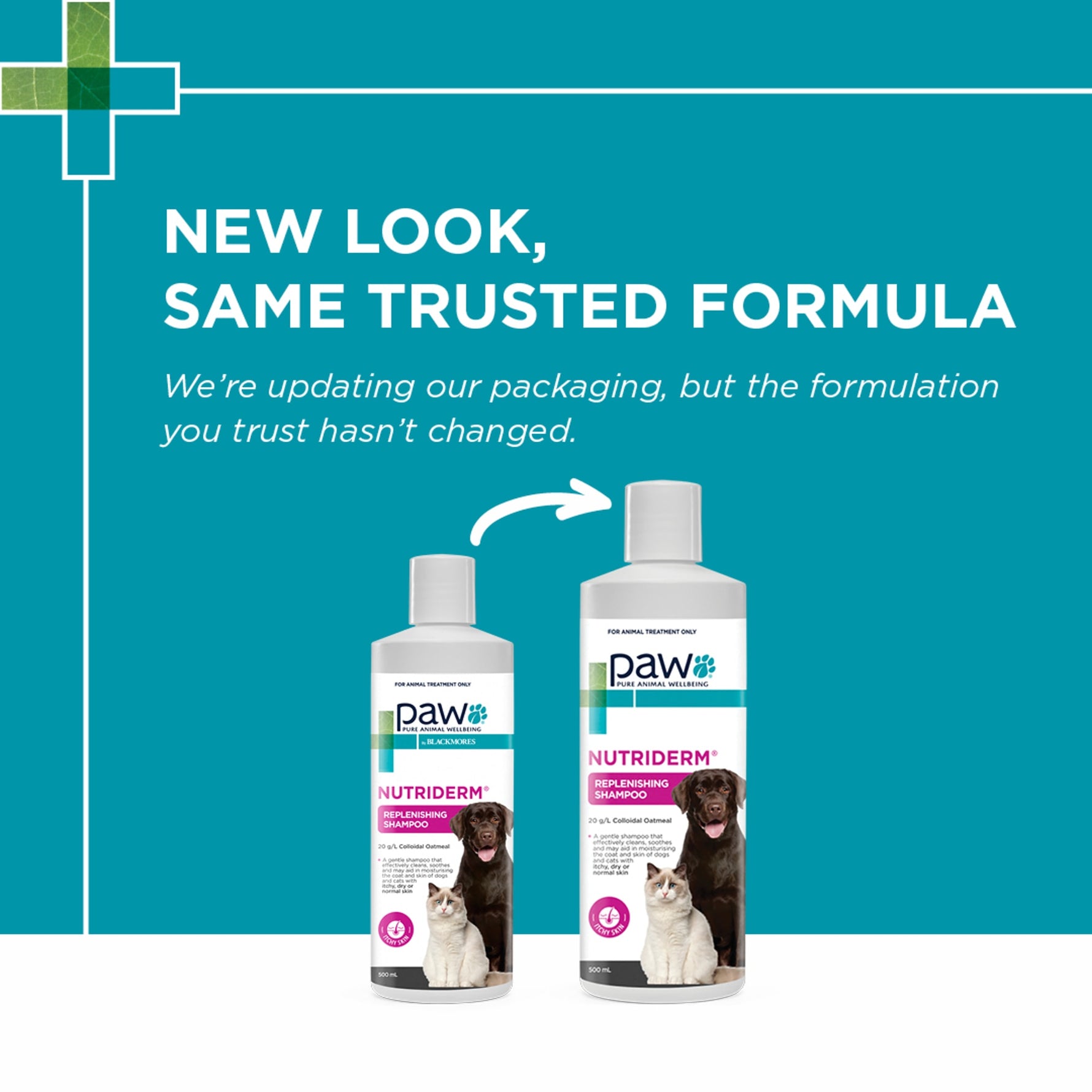 PAW NutriDerm Replenishing Shampoo for Dogs & Cats