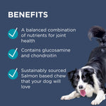 PAW Osteocare Joint Protect Dog Chews