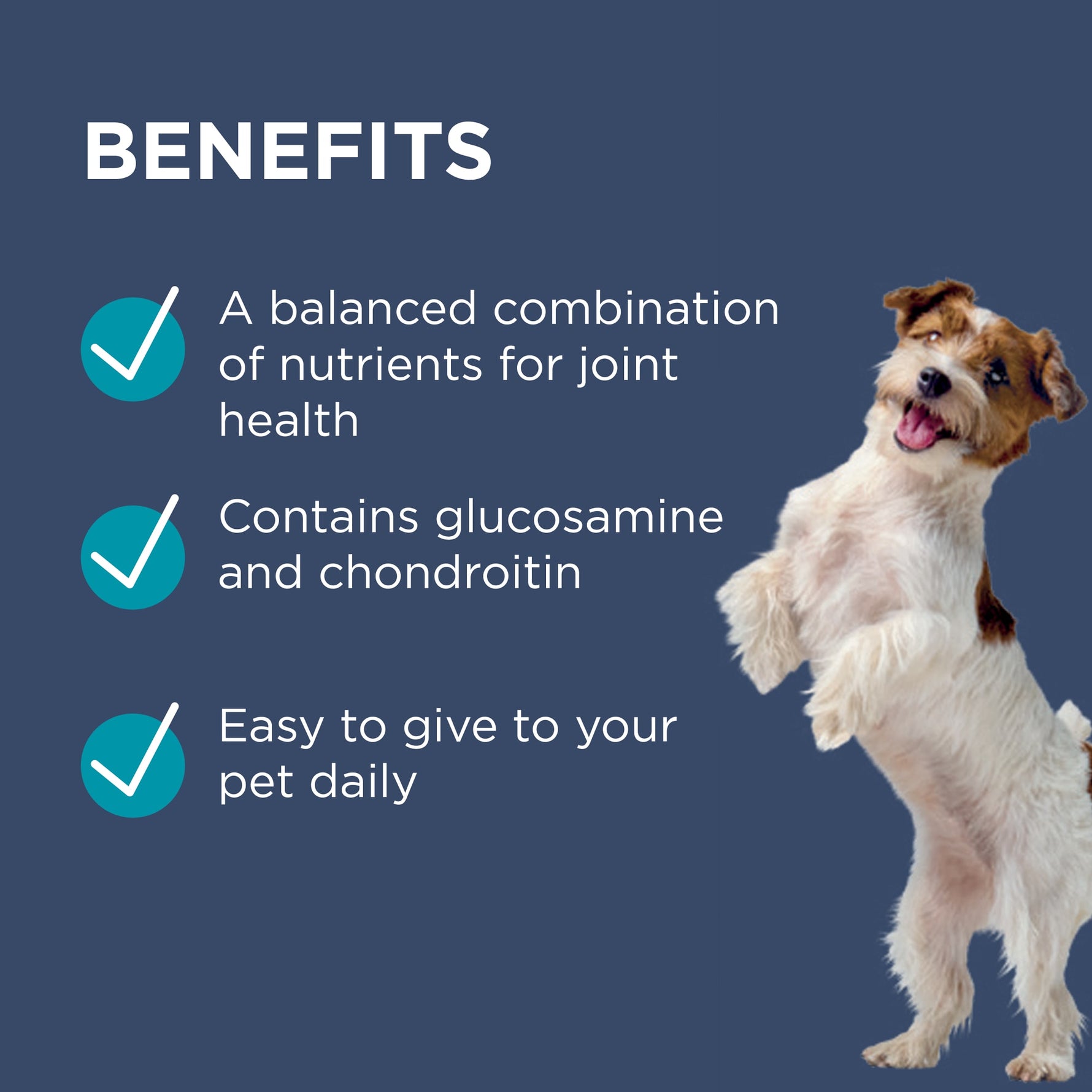 PAW Osteocare Joint Protect Small Dog Chews 75g
