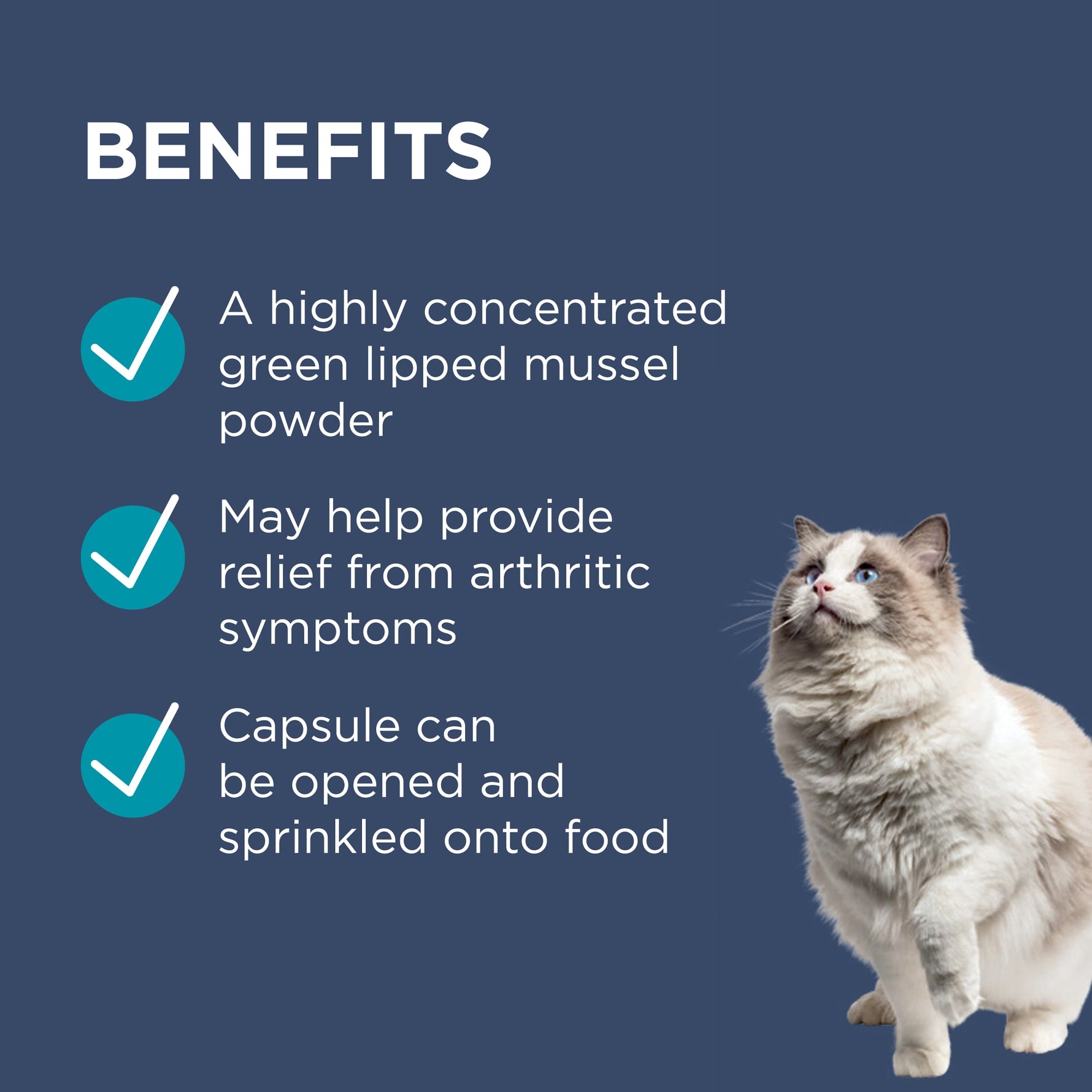 PAW OsteoSupport Joint Care Powder for Cats 60's