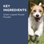 PAW OsteoSupport Joint Care Powder for Dogs