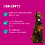 PAW Sensitive Skin Range for Dogs