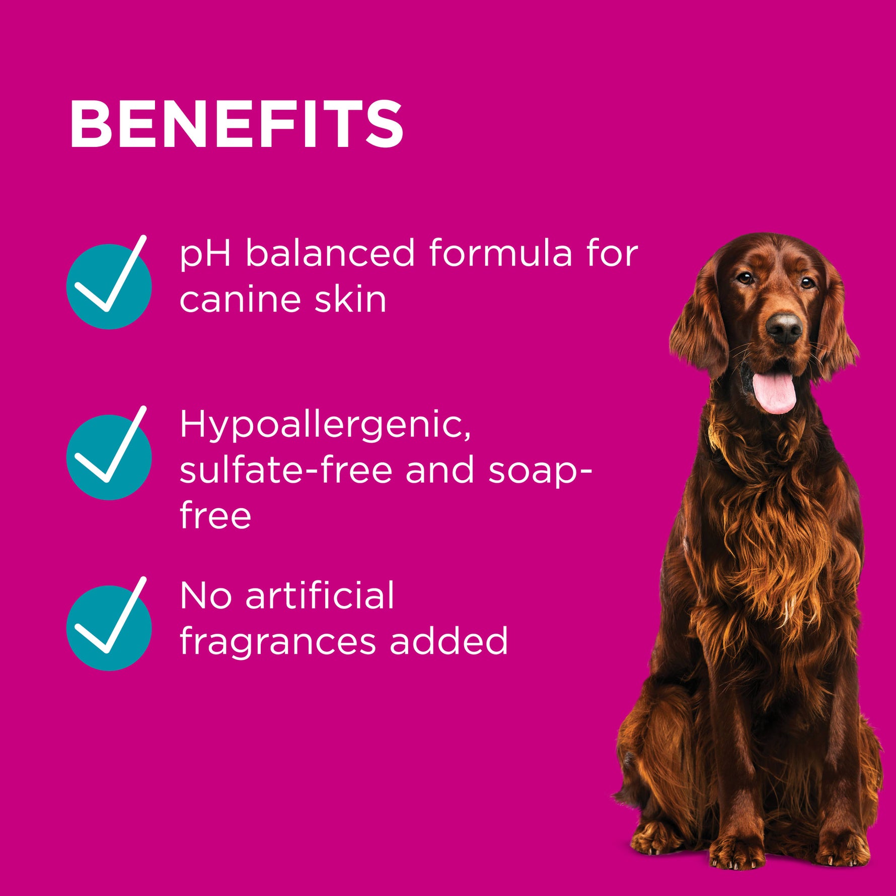 PAW Sensitive Skin Range for Dogs