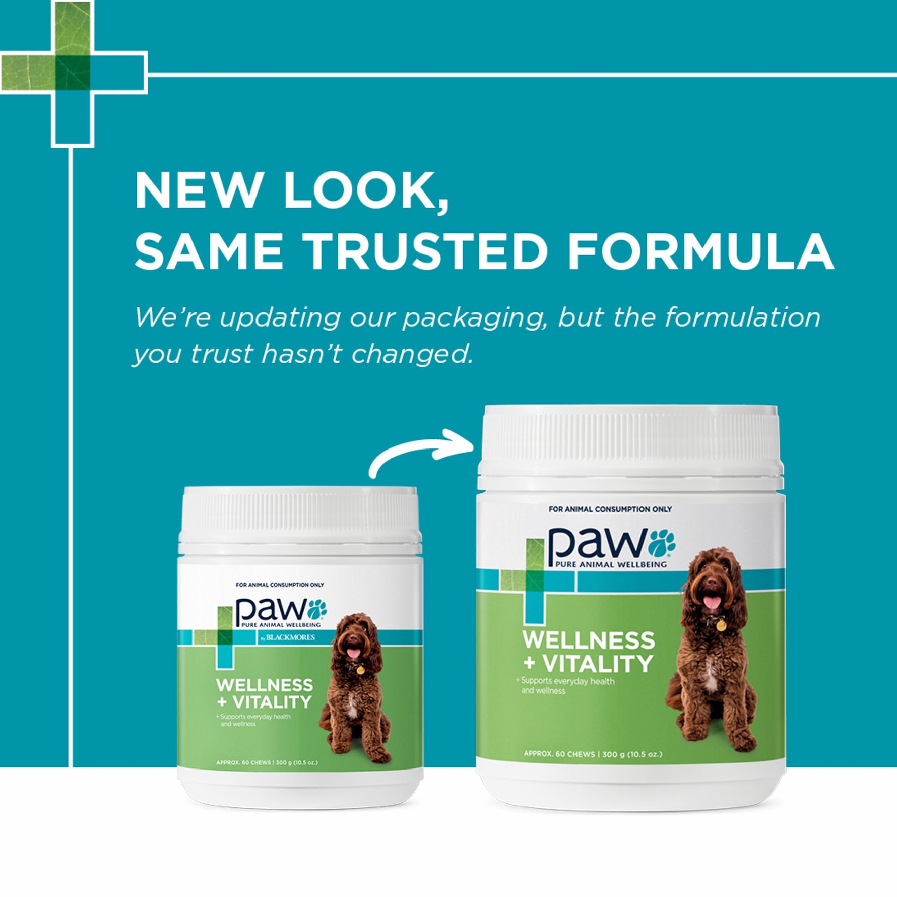PAW Wellness + Vitality Multivitamin & Wholefood Chews 300g