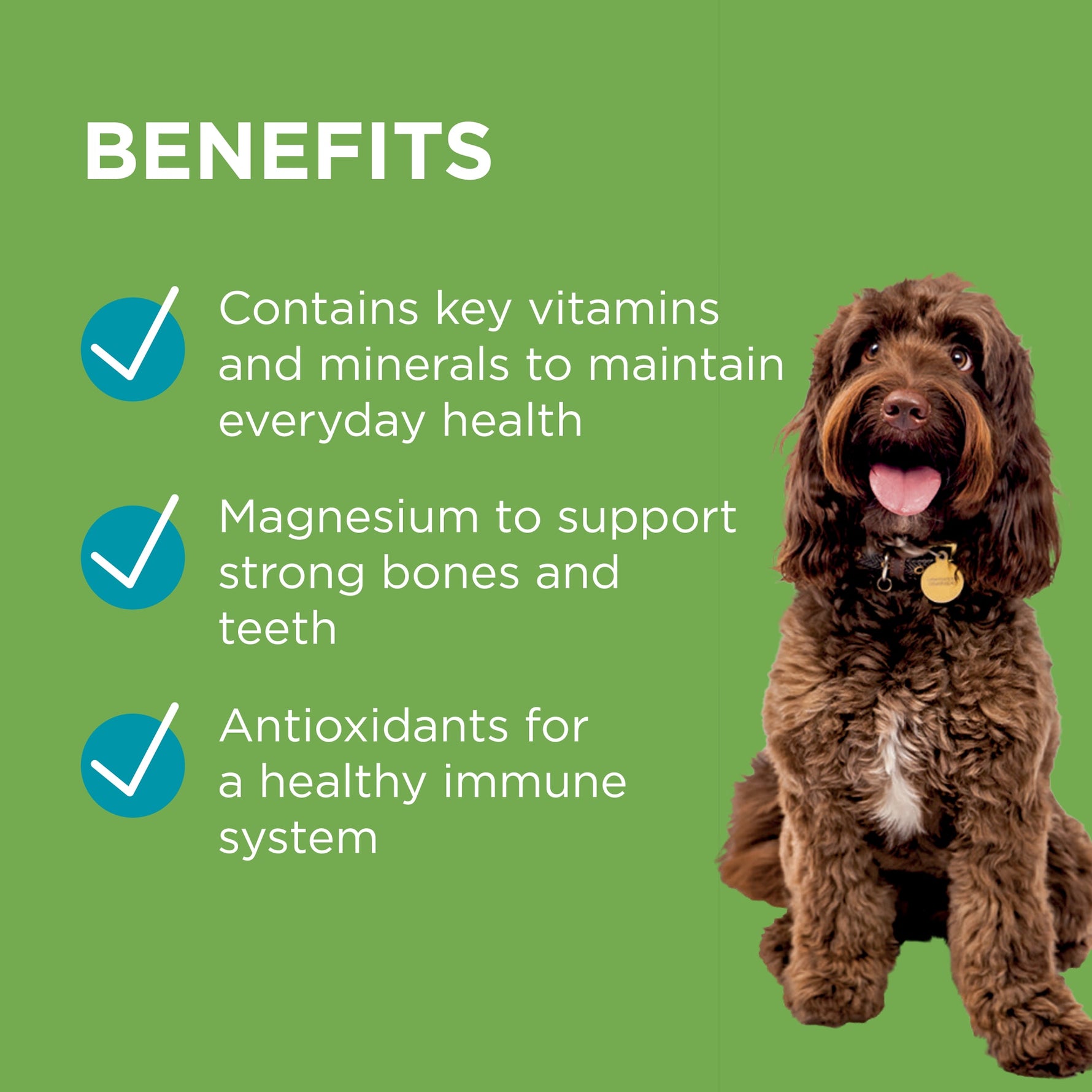 PAW Wellness + Vitality Multivitamin & Wholefood Chews 300g
